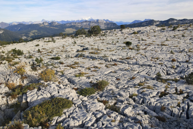 Lapiaz - Parmelan (Haute Savoie, France)